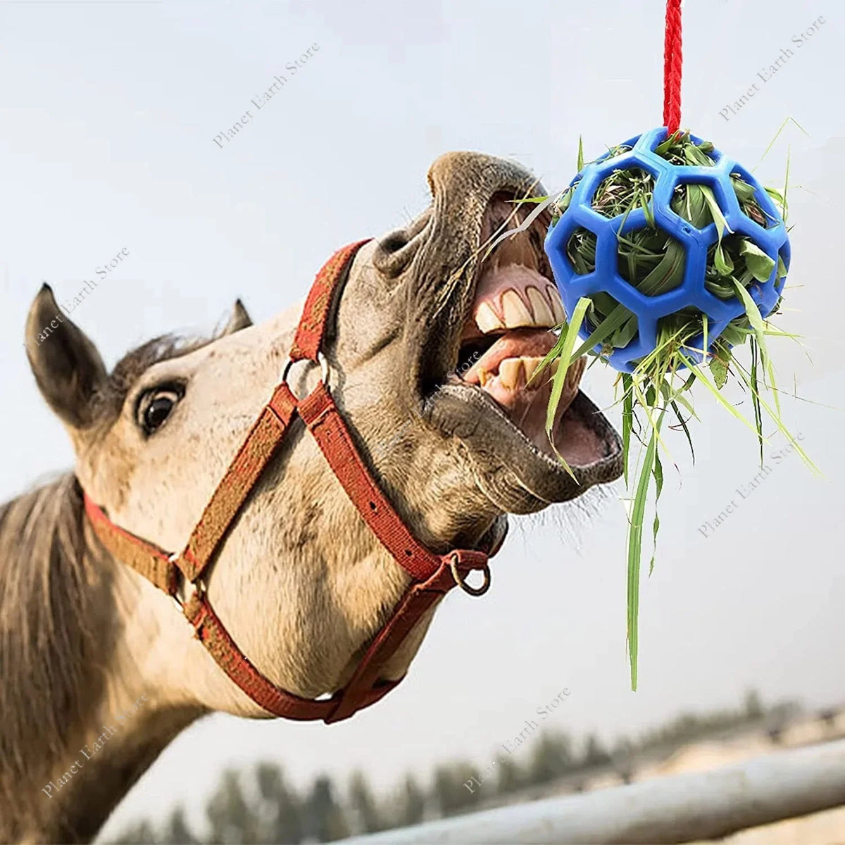 Horse Treat Ball Hay Feeder