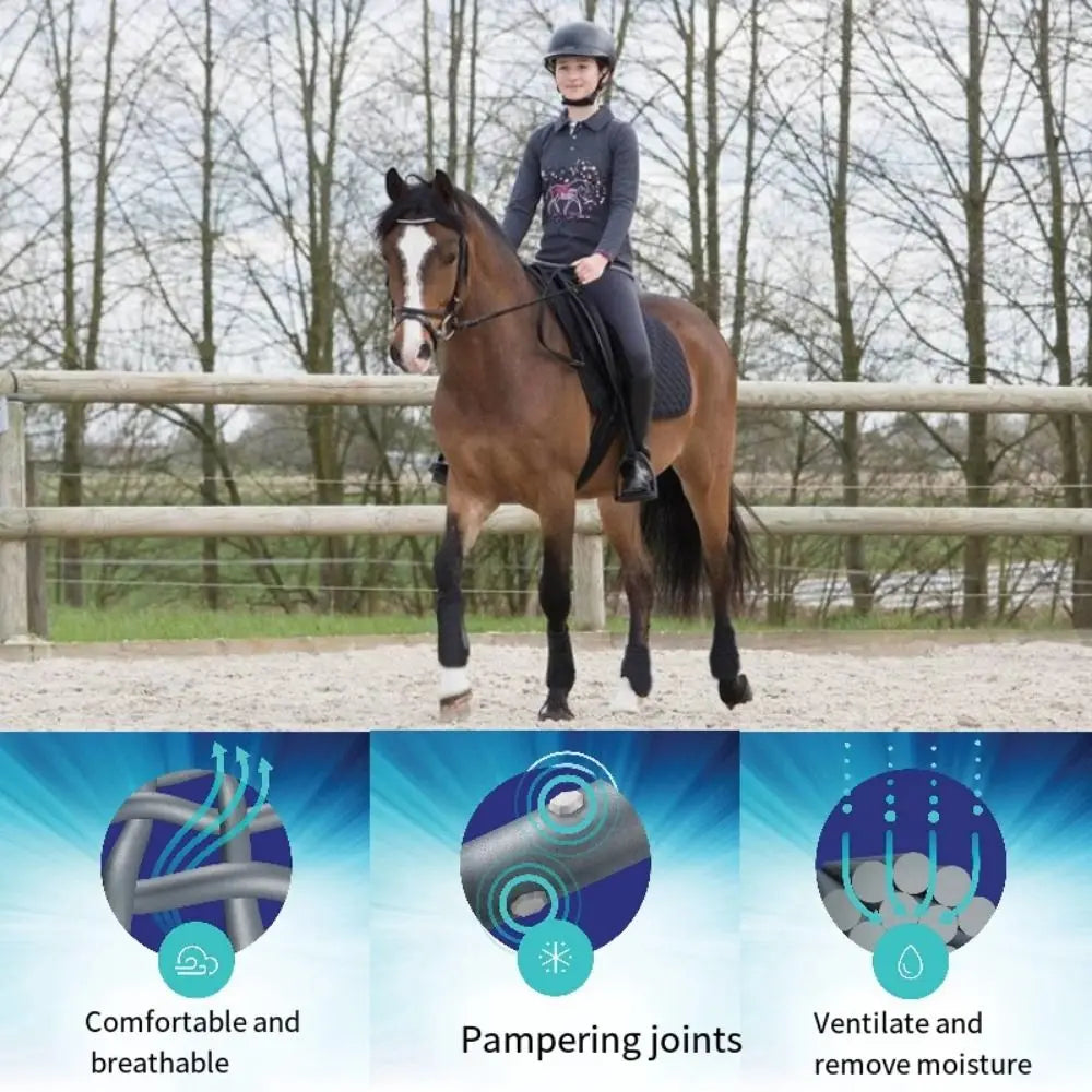 4-Piece Horse Sport Boots – Front & Hind Leg Protection