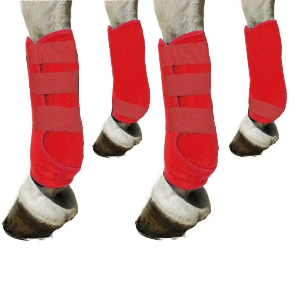 4-Piece Horse Sport Boots – Front & Hind Leg Protection