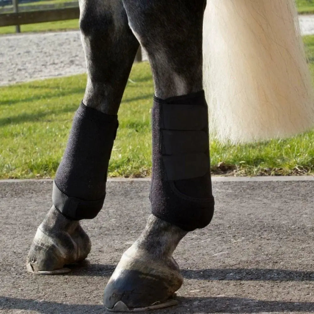 4-Piece Horse Sport Boots – Front & Hind Leg Protection