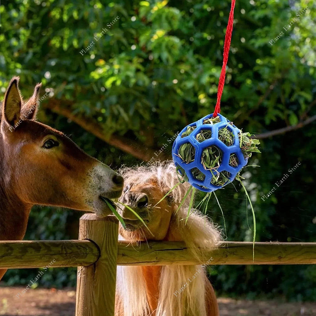 Horse Treat Ball Hay Feeder