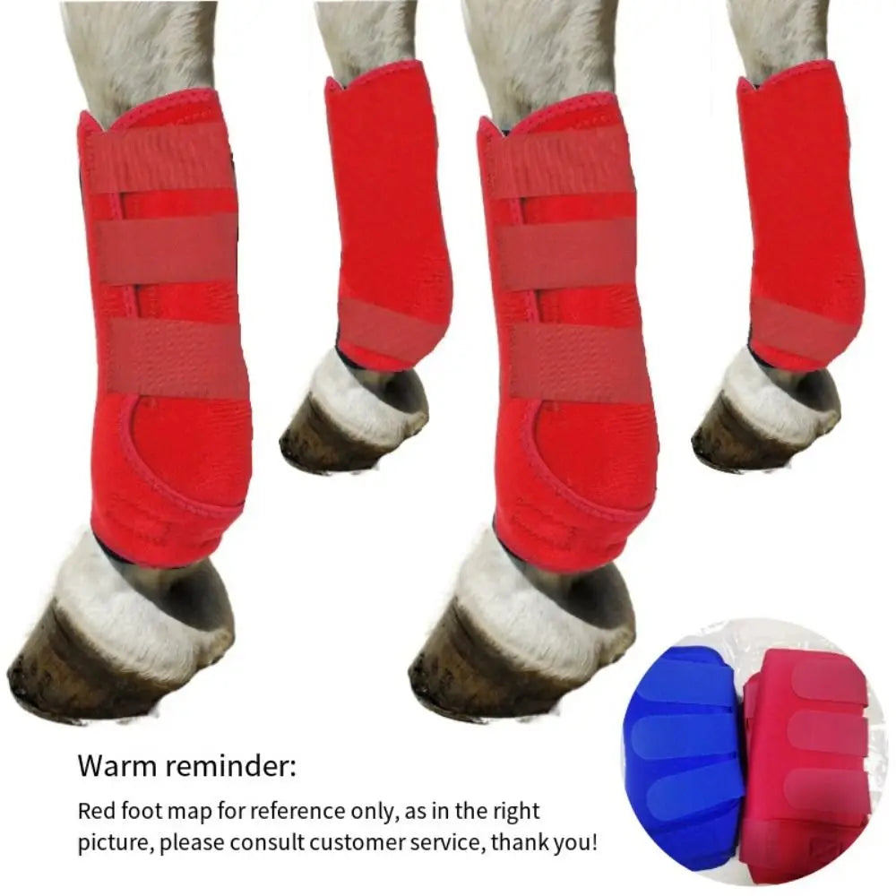 4-Piece Horse Sport Boots – Front & Hind Leg Protection