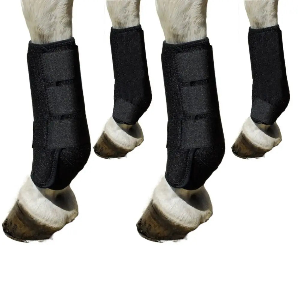 4-Piece Horse Sport Boots – Front & Hind Leg Protection