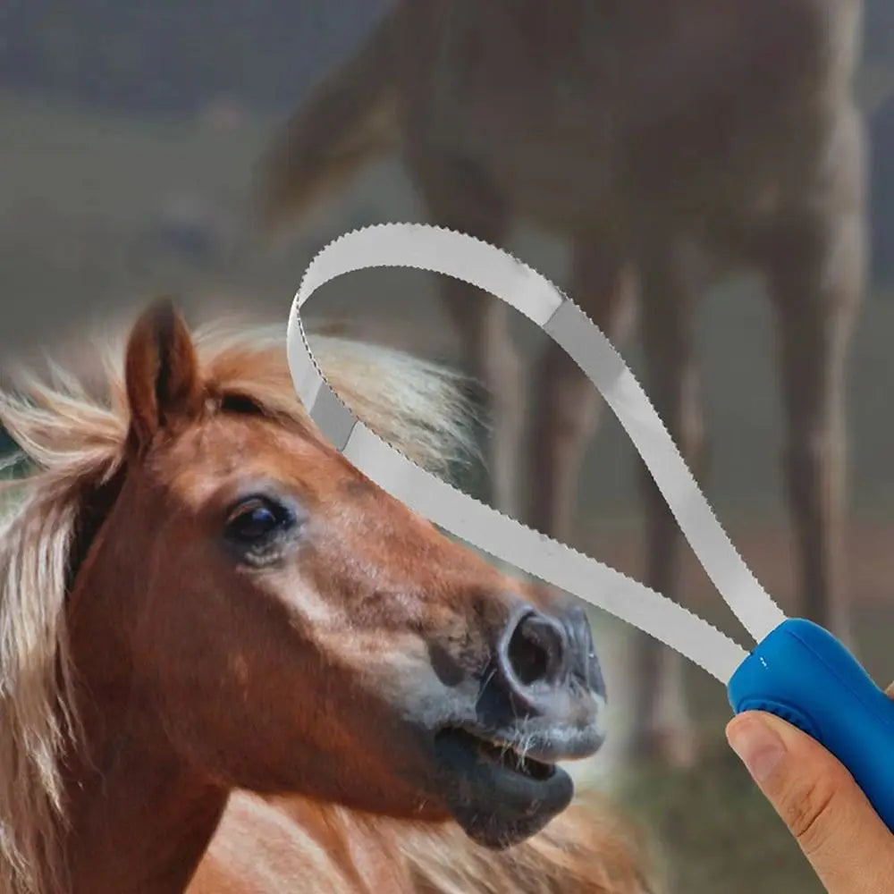 Double-Sided Horse Shedding Blade & Grooming Scraper