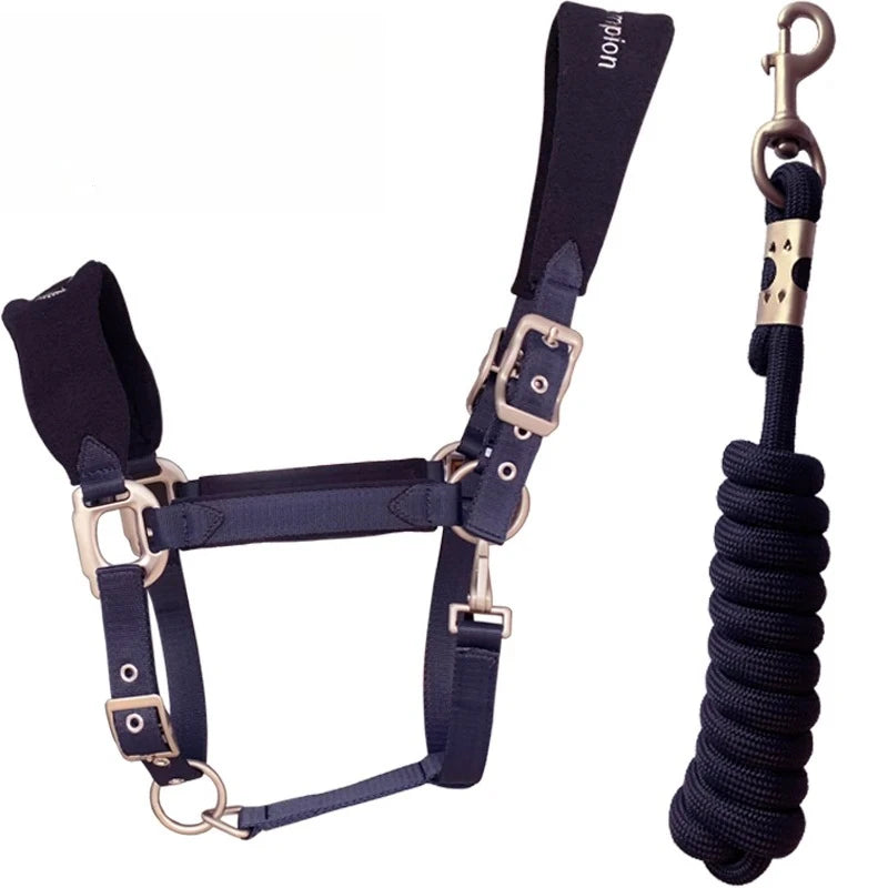 Fleece-Padded Horse Halter & Matching Lead Rope Set