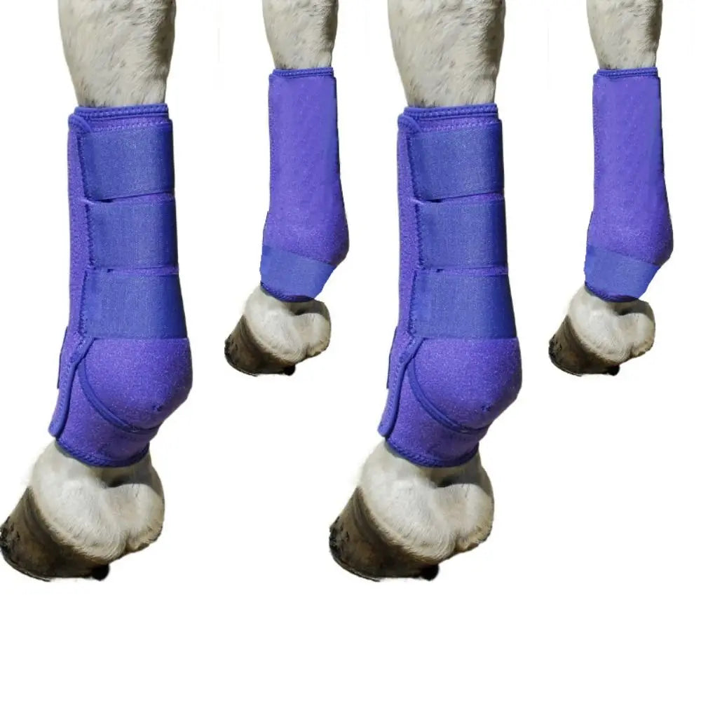 4-Piece Horse Sport Boots – Front & Hind Leg Protection