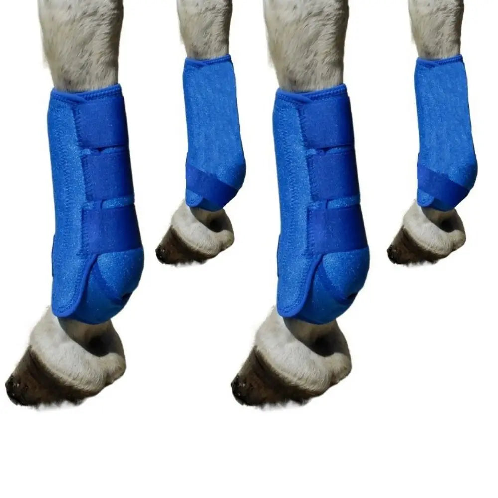 4-Piece Horse Sport Boots – Front & Hind Leg Protection